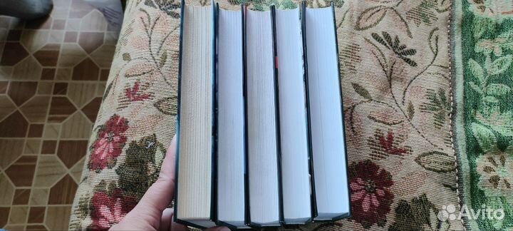 Академия вампиров, Райчел Мид