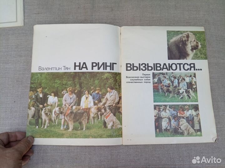 Валентин Тян. На ринг вызываются. Первая Всесоюзна