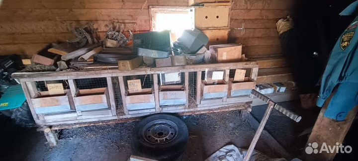 Клетки для кроликов