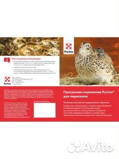 Комбикорм для продуктивных перепелов Пурина