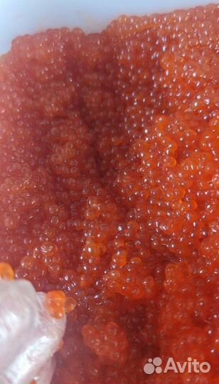 Икра красная оптом