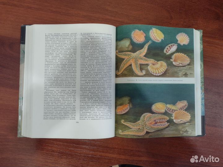 Жизнь животных энциклопедия