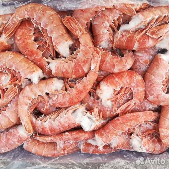 Лангустины креветка аргентинская без головы C-1