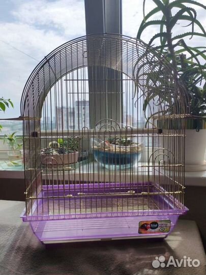 Клетка для попугая (+купалка, подкормка, сетка)
