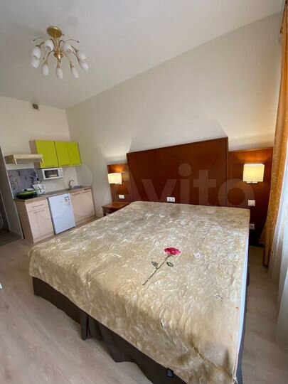 Квартира-студия, 20,2 м², 4/5 эт.