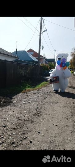 Белый Мишка 38