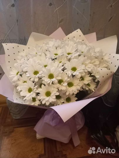 Хризантема