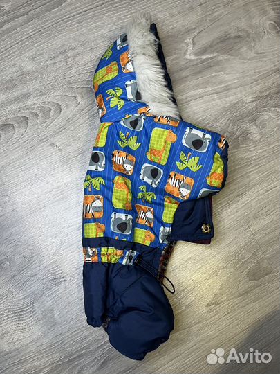 Одежда для маленьких собак