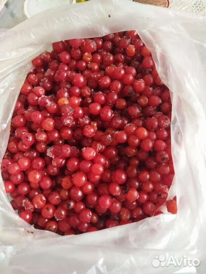 Ягоды калины замороженные