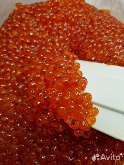 Икра красная