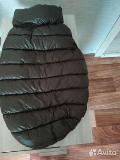 Одежда для собак