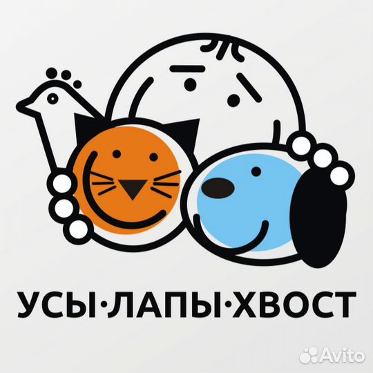 Передержка животных. Догситтер