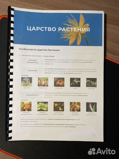 Конспект По Ботанике егэ