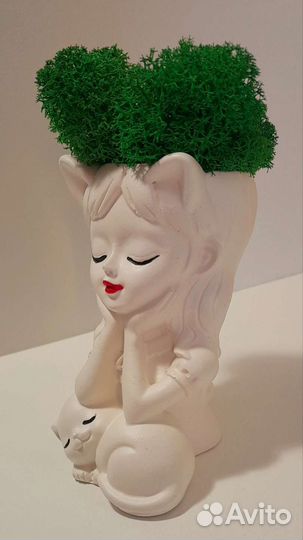 Композиция из стабилизированнго мха