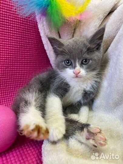 Крошка на счастье