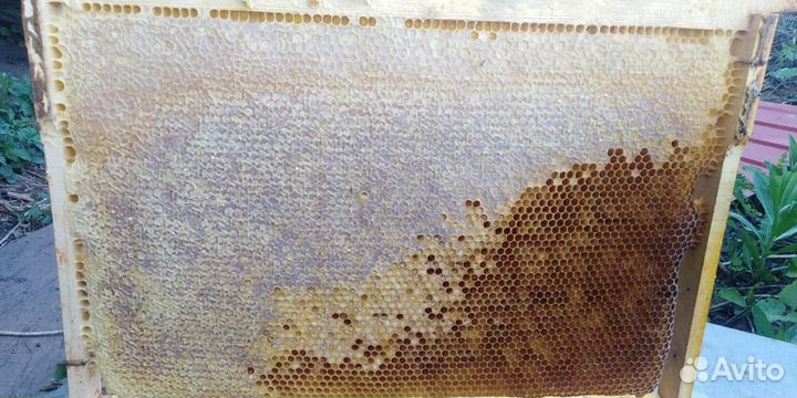 Рамка дадан с медом, 3-4 кг