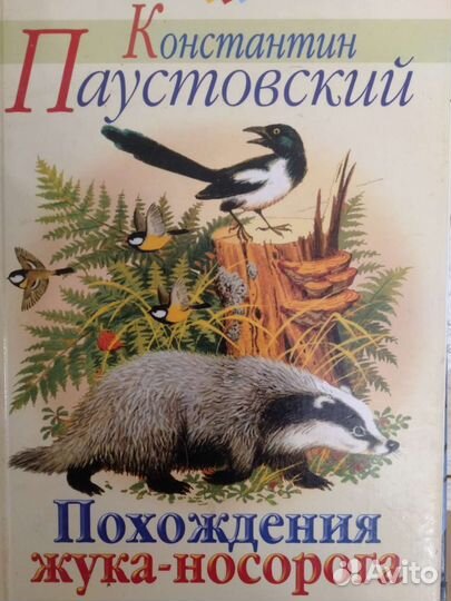 К. Паустовский