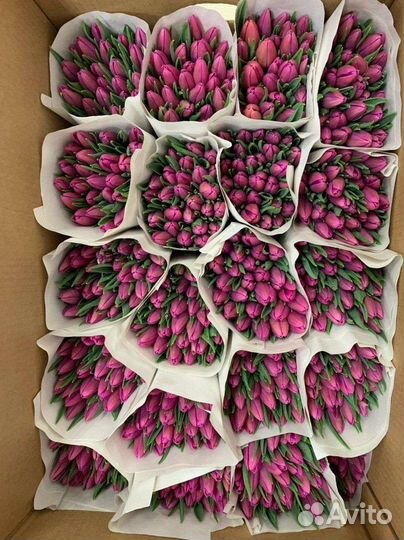 Тюльпаны на 8 марта оптом