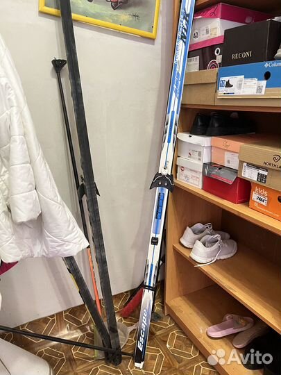 Беговые лыжи