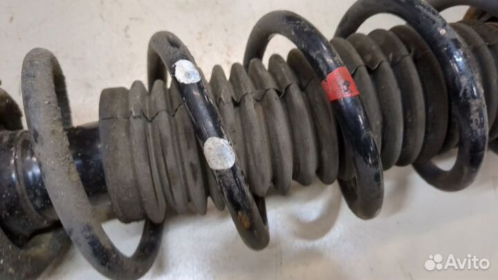 Амортизатор подвески Infiniti Q50, 2015