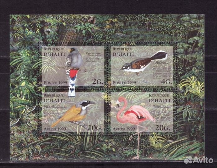 Гаити, 1999. Птицы (мл)