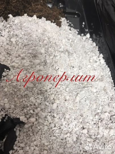 Грунт для ароидных