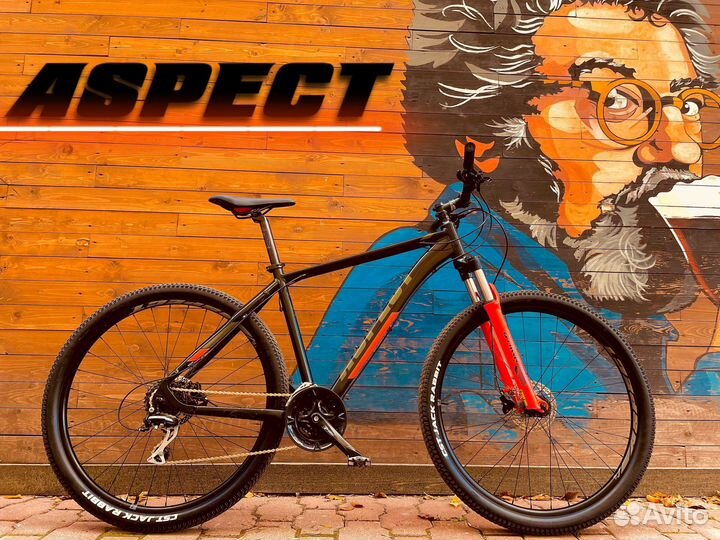 Aspect legend 29