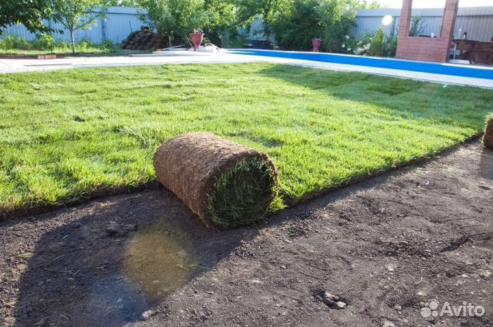 Рулонный газон, укладка рулонного газона