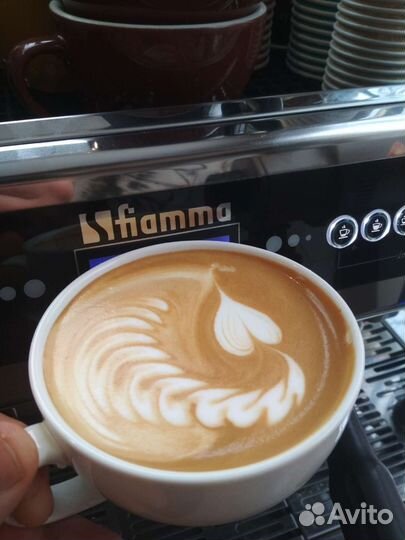 Обучение бариста