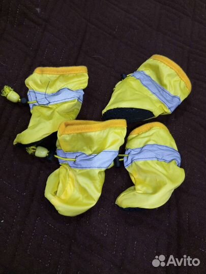 Одежда для собак (куртка и обувь)