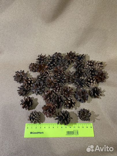 Сосновые шишки декора