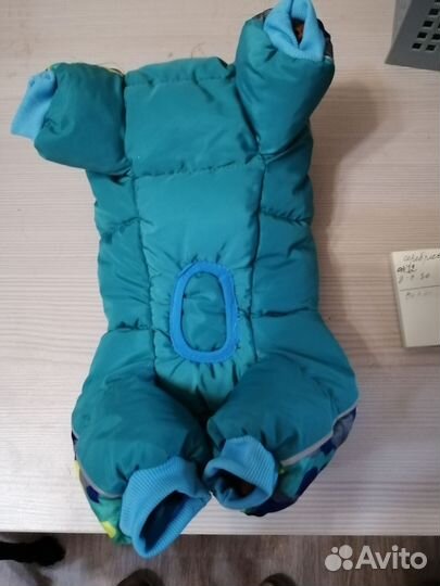 Вещи для собак мелких пород