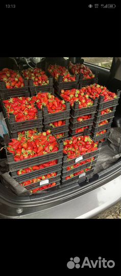 Клубника азербайджан