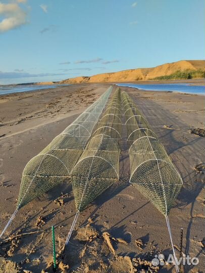 Раколовки дорожки