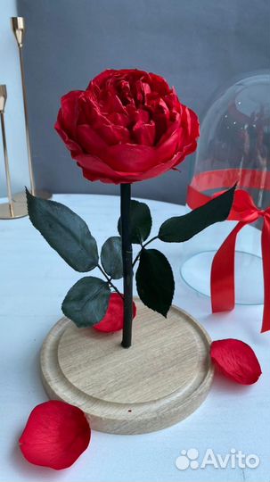 Роза в колбе с подсветкой оптом