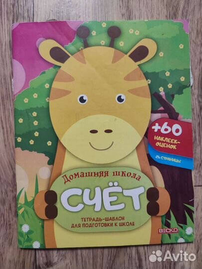 Прописи Домашняя школа счёт