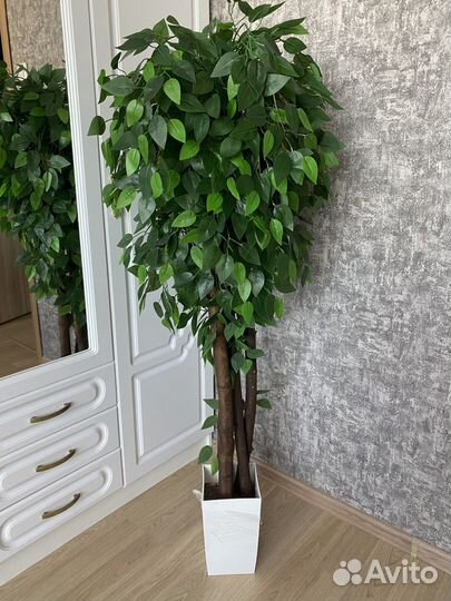 Искусственные (декоративные) растения