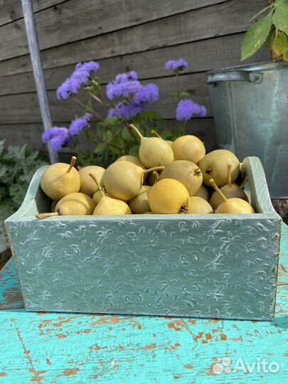 Декоративный ящик в стиле прованс или кантри