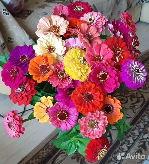 Шикарные букеты из свежих цветов