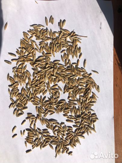 Корма для животных