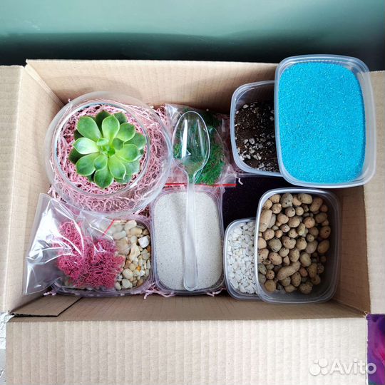 Набор для создания флорариума