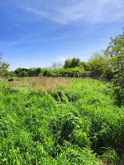 Участок 18 сот. (ИЖС)