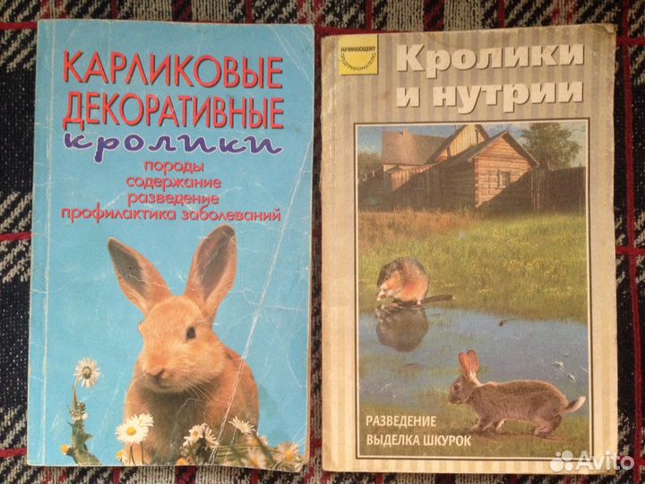 Артемьева Выращивание молодняка птиц в приусадебно