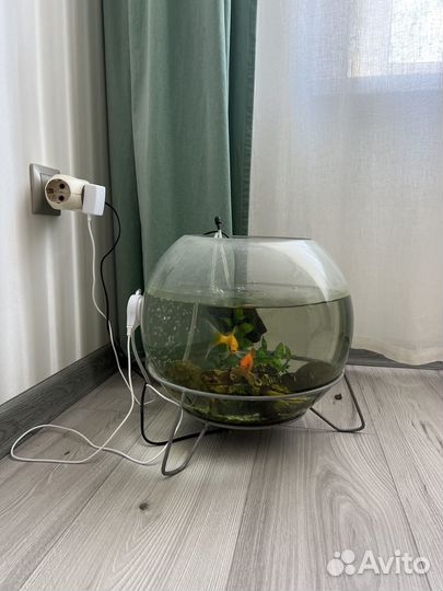 Аквариум с рыбками