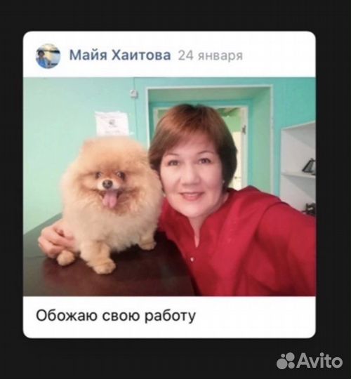 Ветеринарный врач выезд на дом