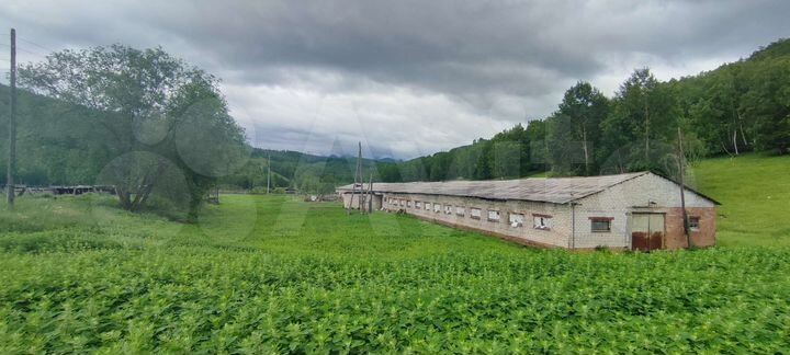 Участок 3,6 га (СНТ, ДНП)