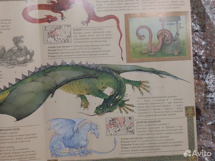 Драконоведение махаон