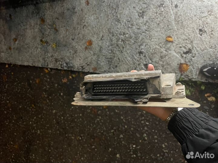 Мозги январь 7.2