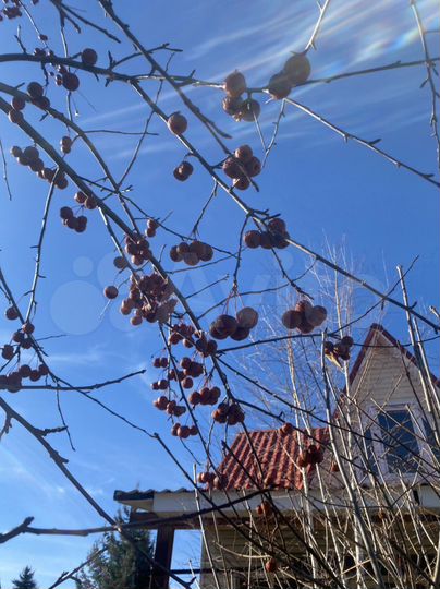 Дача 112 м² на участке 8 сот.