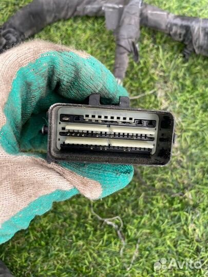 Проводка двигателя Ford Explorer 6 2020